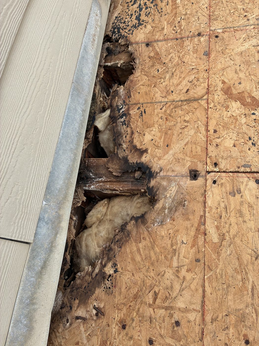 Rotted roof decking found at a wall after tear-off on an Oxnard home, NRG Roofing